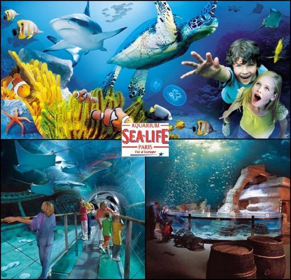 Disneyland Paris 6 Pers- Wifi - Disney Tv Wifi, Parking Chessy  Ngoại thất bức ảnh